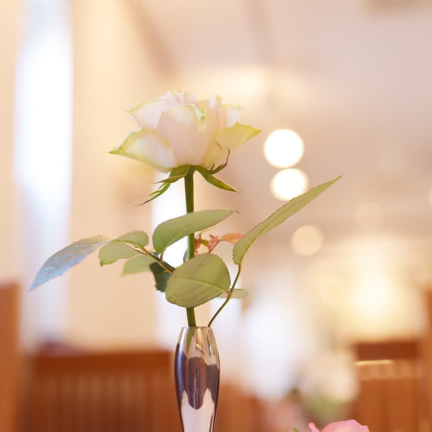 牛フィレステーキ